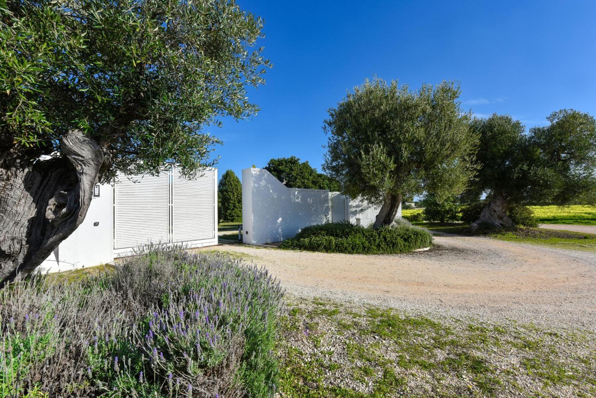 Villa Vinner - Monopoli Exterior photo